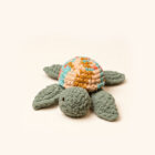 Small Turtle - Thumbnail Image 2